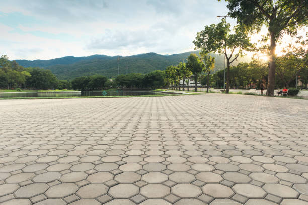 Trusted Wellington, FL Driveway Pavers Experts